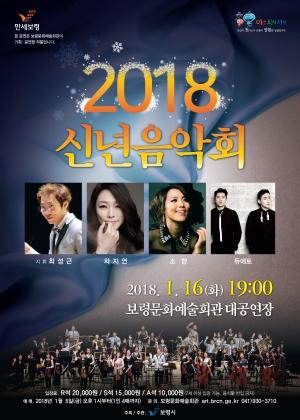 보령시, 시민과 함께하는 2018년 신년음악회 개최